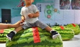 吃瓜群众 网红,揭秘网络时代的社交现象